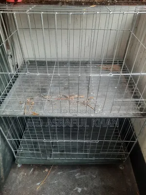 নতুন খাচা দোতালা