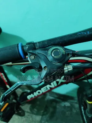 ফিনিক্স সাইকেল
