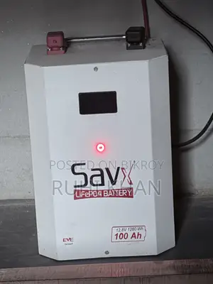 SavX 100Ah LiFePo4 Battery