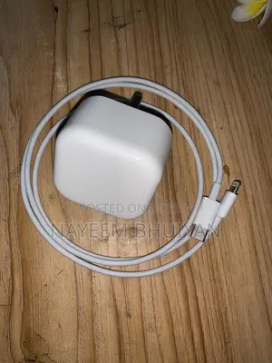 25 Watt Apple Charger