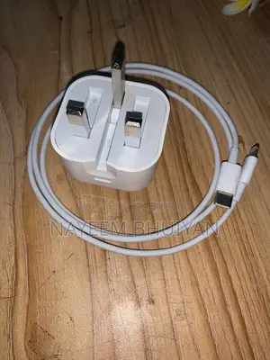 25 Watt Apple Charger