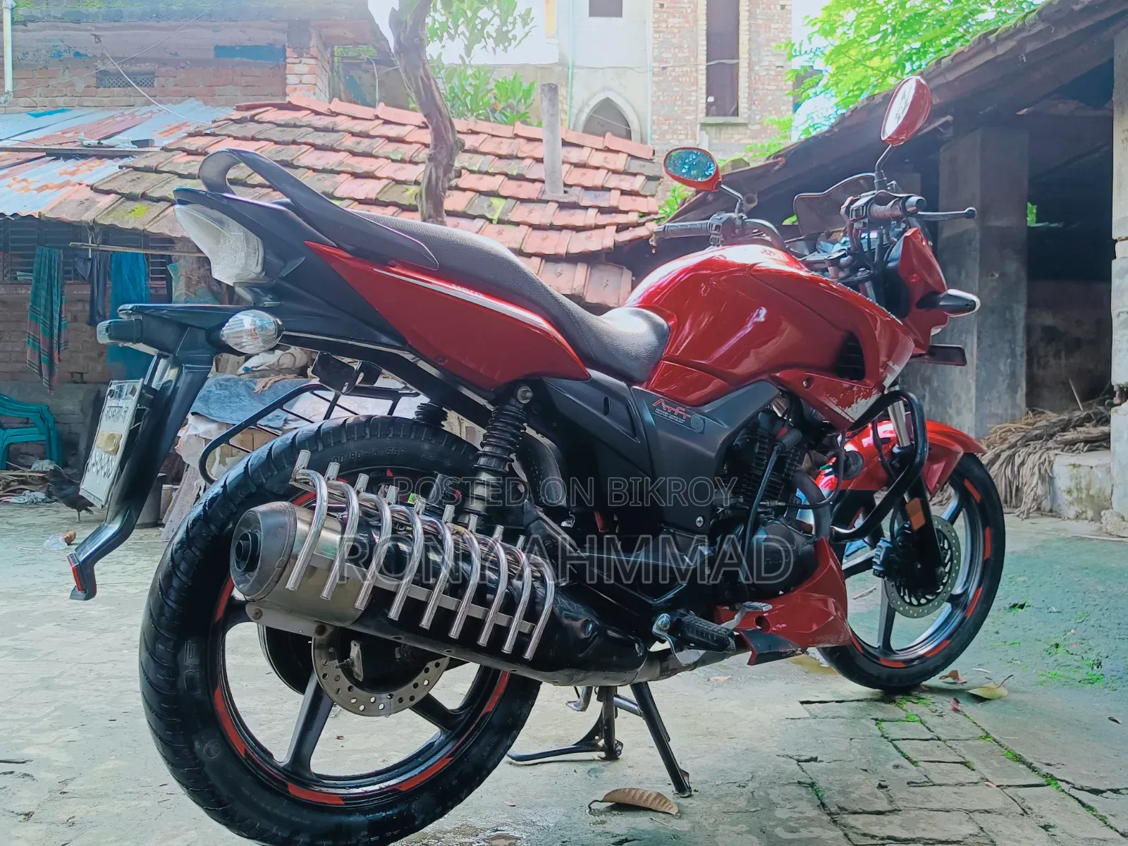হিরো হাঙ্ক ২০১৯ লাল