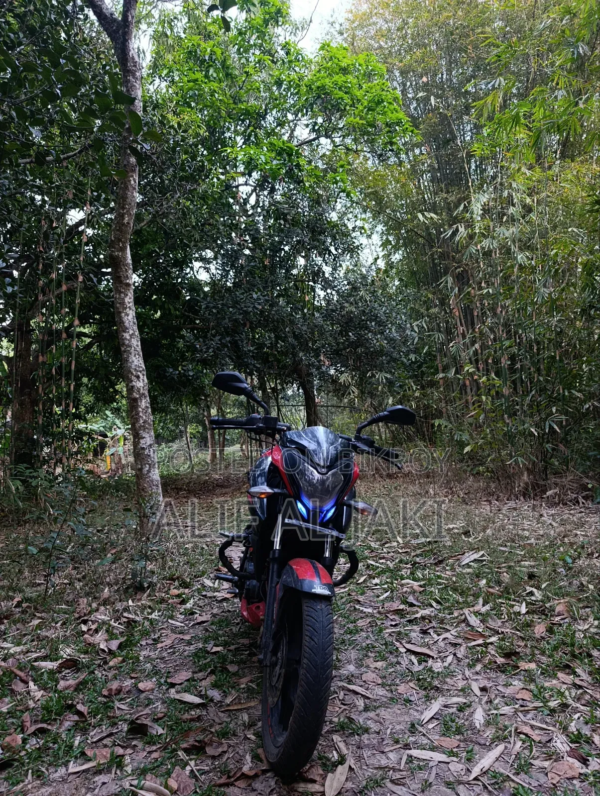 Bajaj Pulsar NS 160 2020 Red