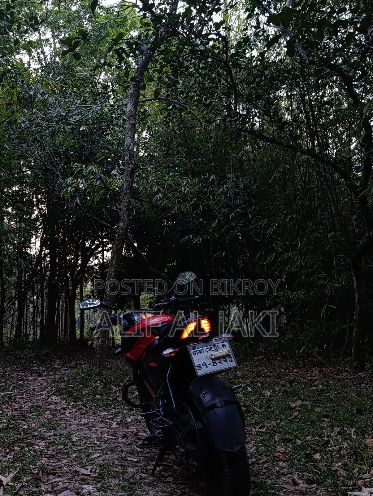 Bajaj Pulsar NS 160 2020 Red