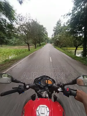 Bajaj Pulsar NS 160 2020 Red