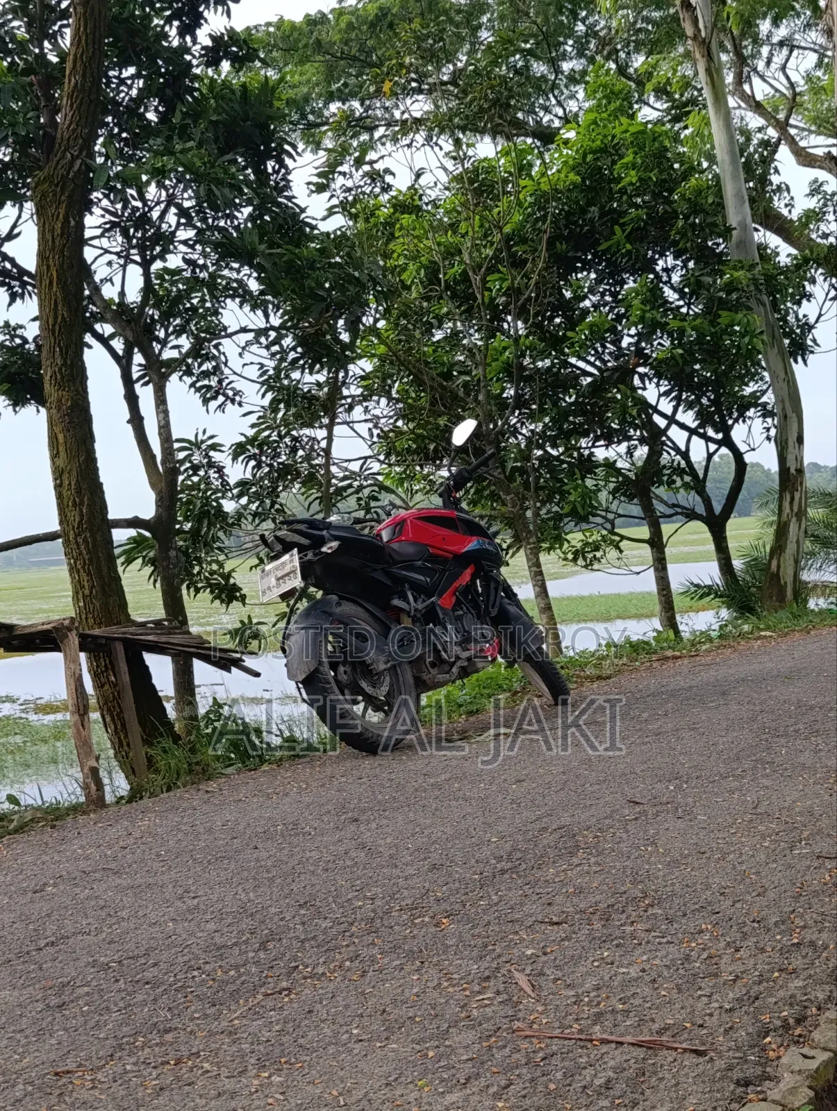 Bajaj Pulsar NS 160 2020 Red
