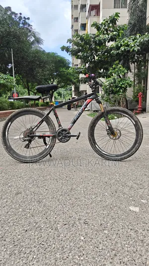 দুরন্ত এসিইএক্স বাইসাইকেল