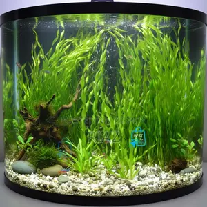 Aquarium Live Plant and Soil and Aquarium Shrimp for Your Tank
