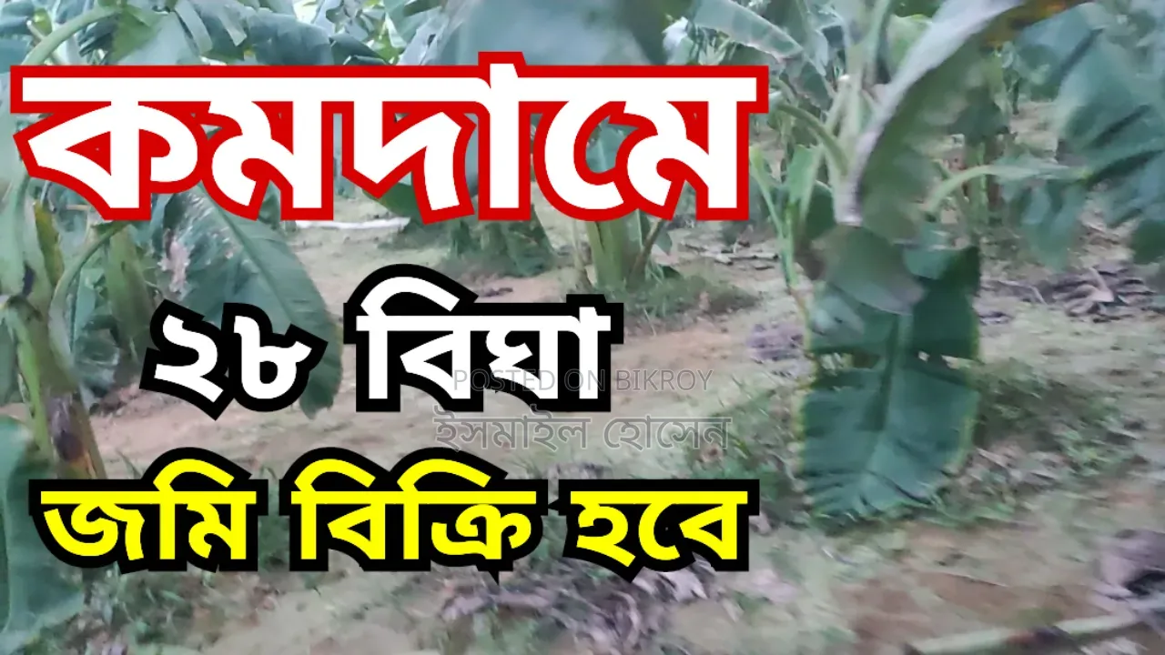 28 Bighas of Land for Sale