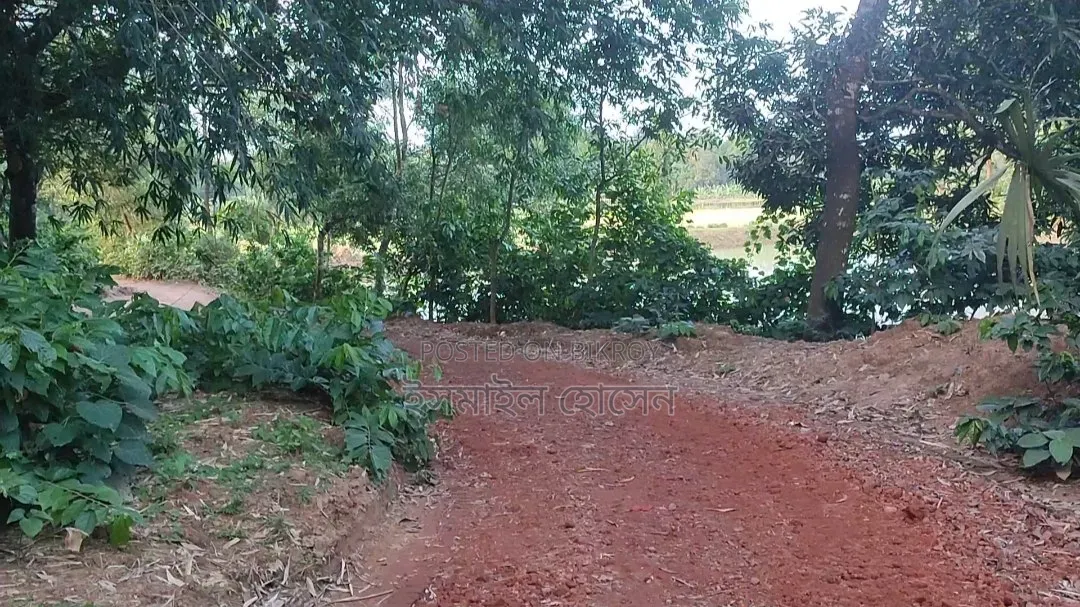 28 Bighas of Land for Sale