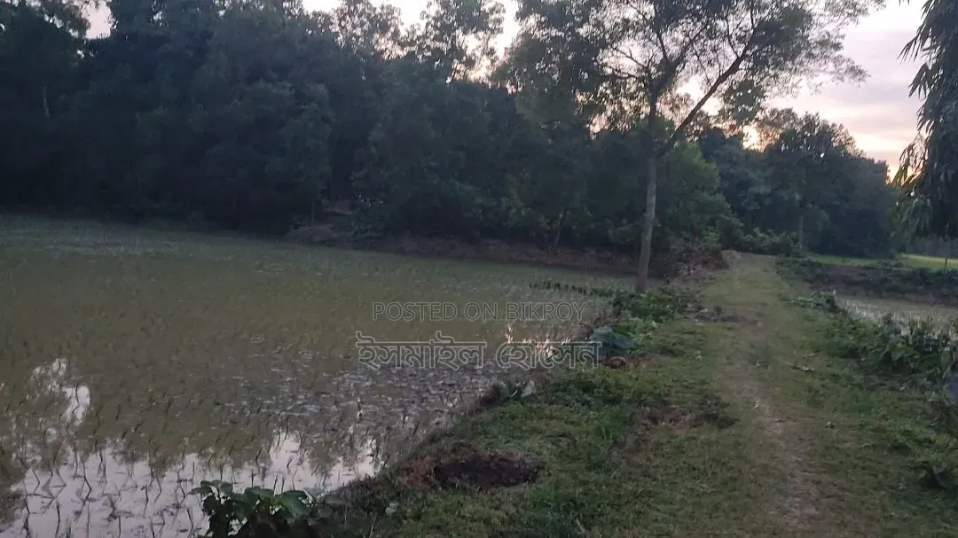 28 Bighas of Land for Sale