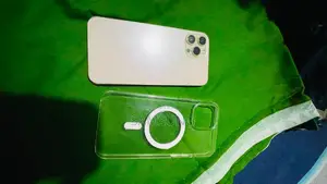 অ্যাপল আইফোন ১২ প্রো ম্যাক্স ২৫৬ জিবি গোল্ড