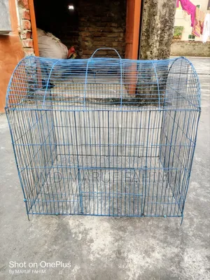 Bird Cage for Sale