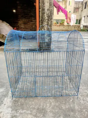 Bird Cage for Sale