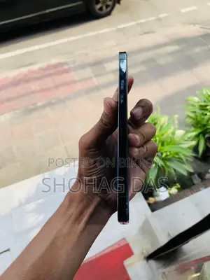 Apple iPhone 12 Pro Max 256 GB Blue
