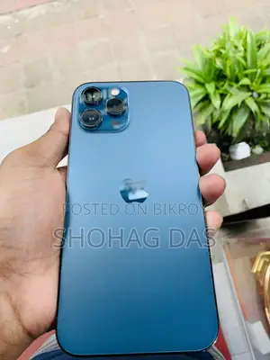 অ্যাপল আইফোন ১২ প্রো ম্যাক্স ২৫৬ জিবি নীল