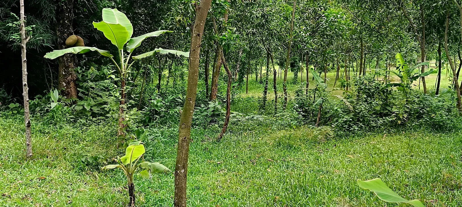 65% Land for Sale at Throwaway Price