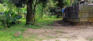 65% Land for Sale at Throwaway Price