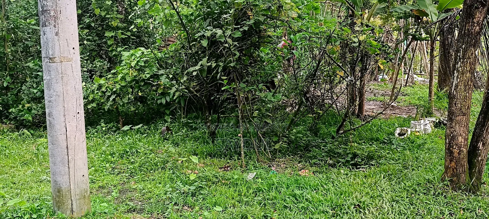 65% Land for Sale at Throwaway Price