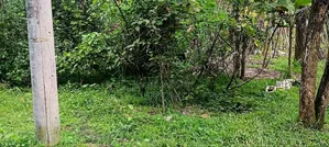 পানির দামে গাজীপুরে ৬৫ শতাংশ জমি বিক্রয়