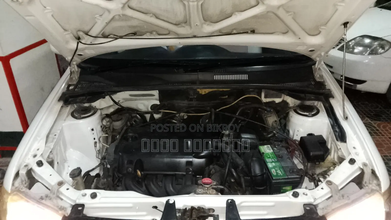 Toyota Probox 2004 White