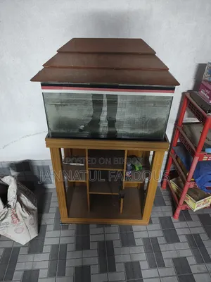 Aquarium for Sale