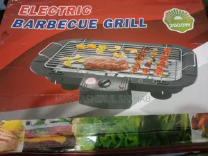 Electric Barbecue Grill