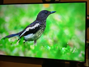 স্যামসাং বেসিক এলইডি টিভি অরজিনাল ৪০ ইঞ্চি