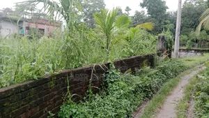 5 katha of land for sale