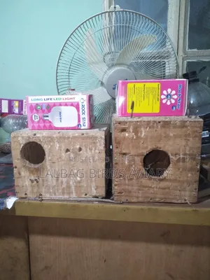 Breeding Box Sell Hobe.