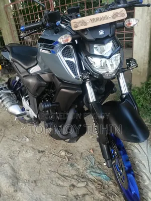 Yamaha FZS V3 2024 Gray