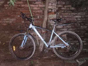 এভন ২৬" অয়েল ব্রেক সাইকেল সেল পোস্ট