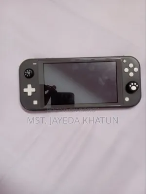 নিনটেন্ডো সুইচ লাইট গ্রে কালার
