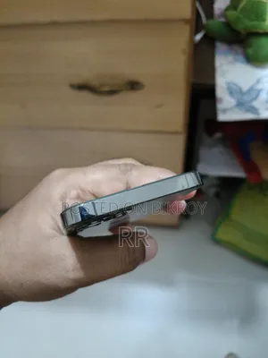 অ্যাপল আইফোন ১২ প্রো ২৫৬ জিবি ব্লু