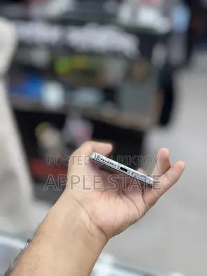 Vivo X200 Pro 512 GB