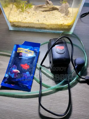Desktop Betta Planted Tank With Airpump and Betta Food