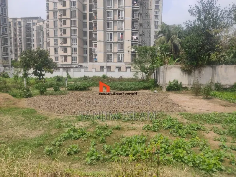 Ready Plot for Development