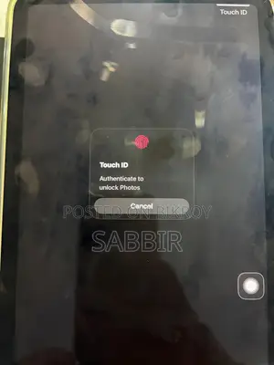 Apple iPad mini 6 256 GB Gray