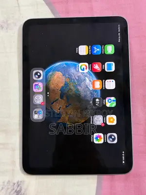 Apple iPad mini 6 256 GB Gray