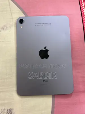 Apple iPad mini 6 256 GB Gray