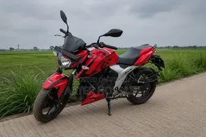 টিভিএস অ্যাপাচি আরটিআর ১৬০ ৪ভি ২০১৯ লাল