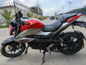 সুজুকি জিক্সার ২০২৪ অরেঞ্জ
