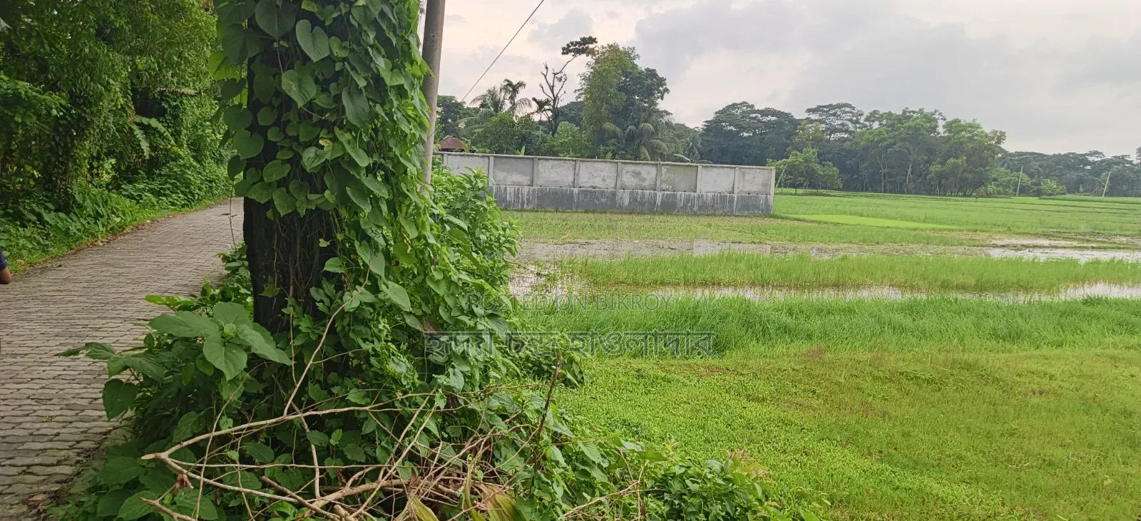 Land for sale free of paperwork hassles.