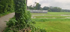 Land for sale free of paperwork hassles.