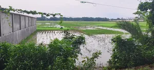 Land for sale free of paperwork hassles.