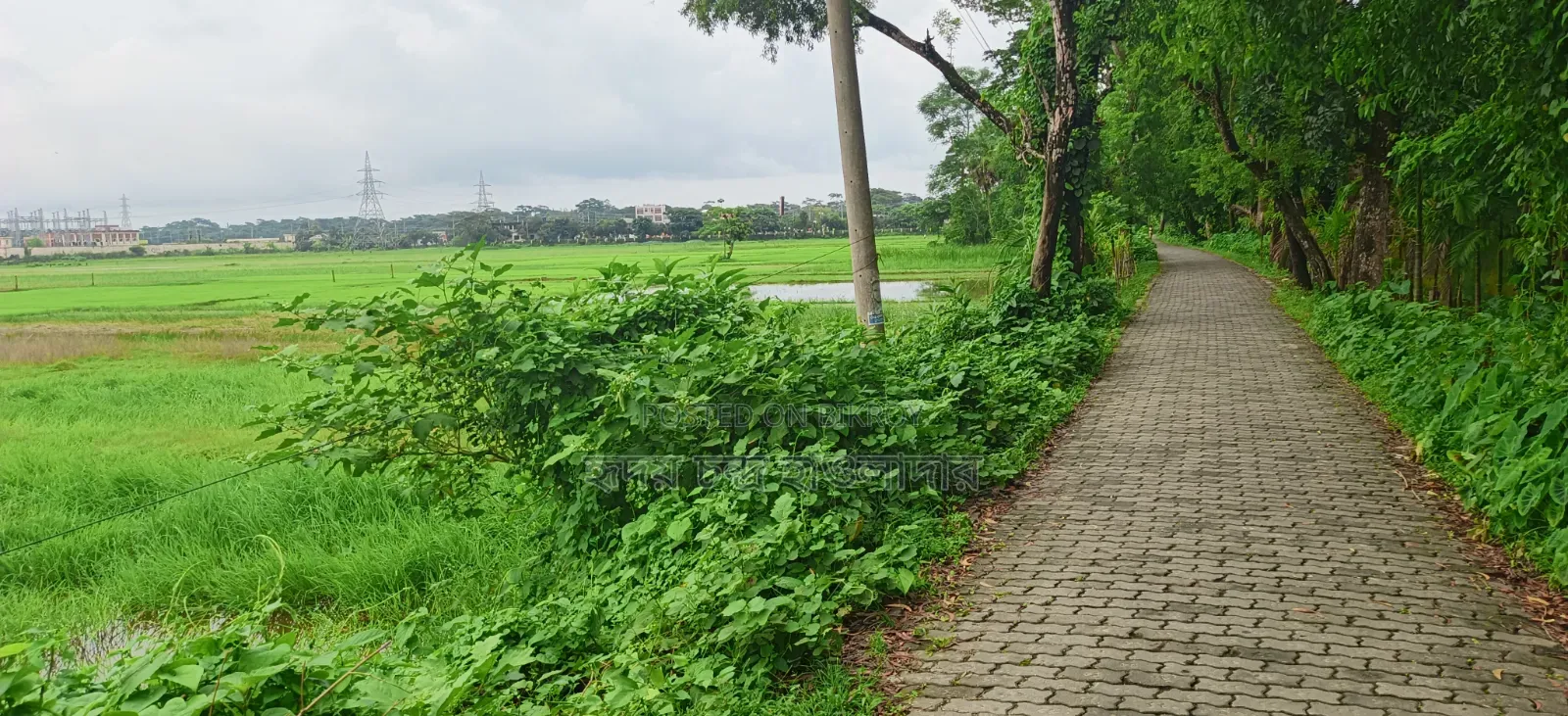 Land for sale free of paperwork hassles.