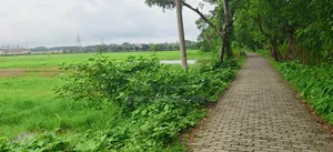 Land for sale free of paperwork hassles.