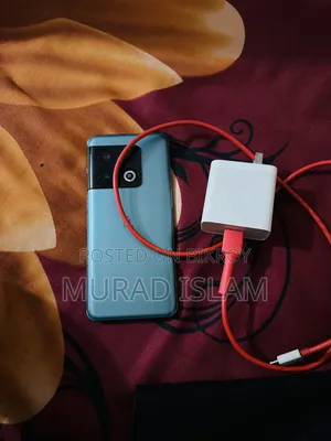 ওয়ানপ্লাস ১০ প্রো ২৫৬ জিবি গ্রিন