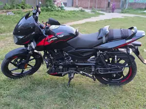Bajaj Pulsar 150 2024 Black