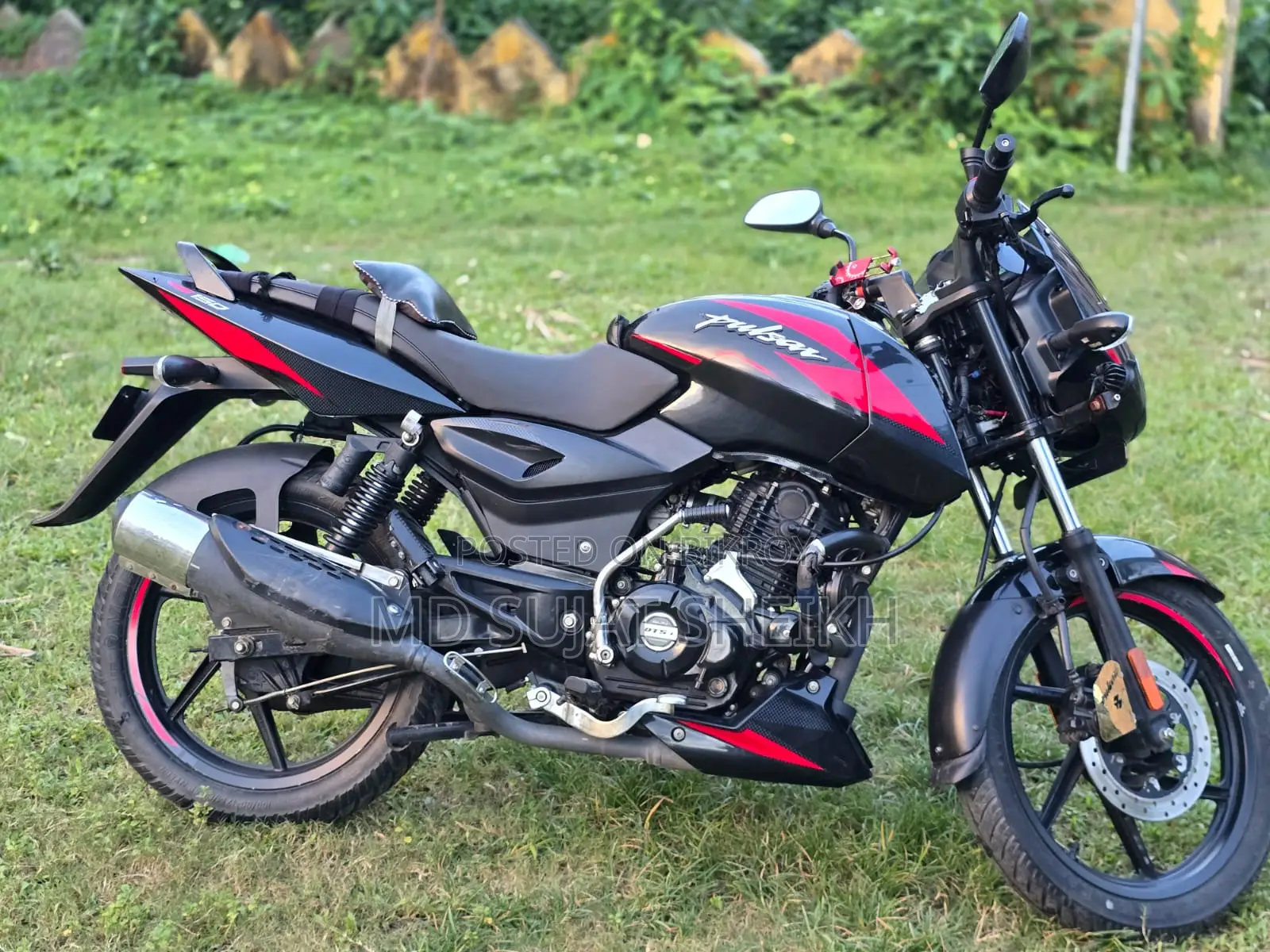Bajaj Pulsar 150 2024 Black
